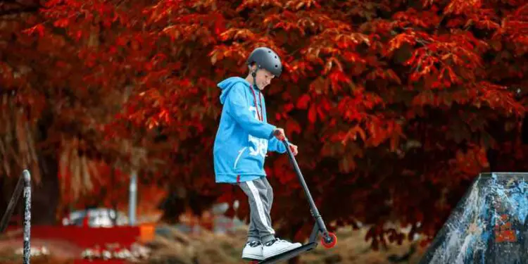 kid on the scooter image