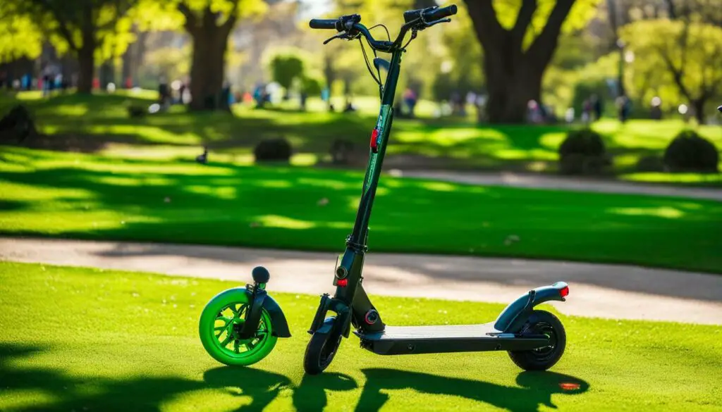 scooter in the park